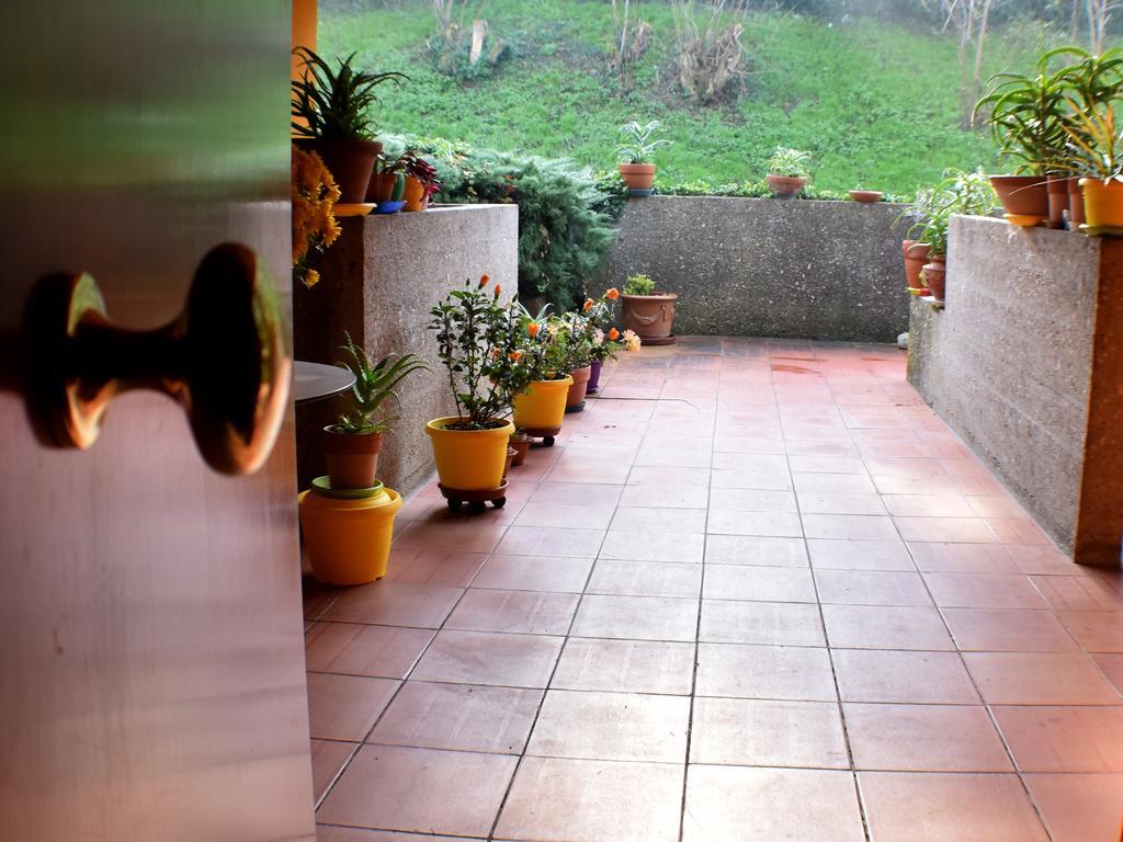 Tarcisio B&B Tavullia Ruang foto