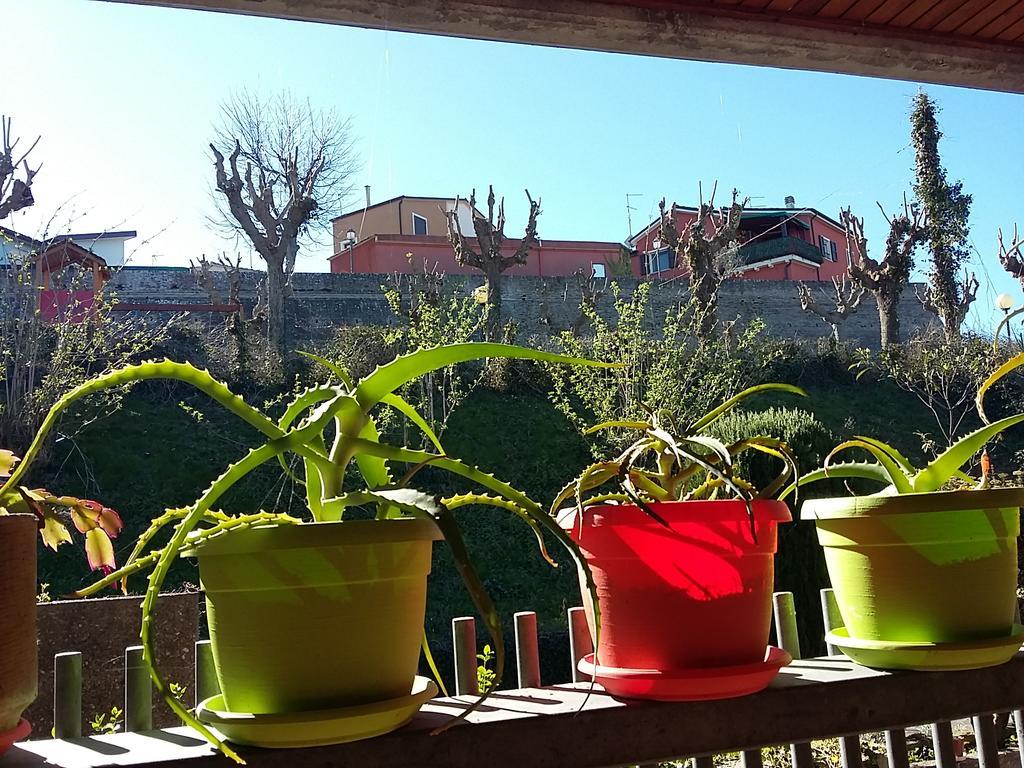 Tarcisio B&B Tavullia Bagian luar foto
